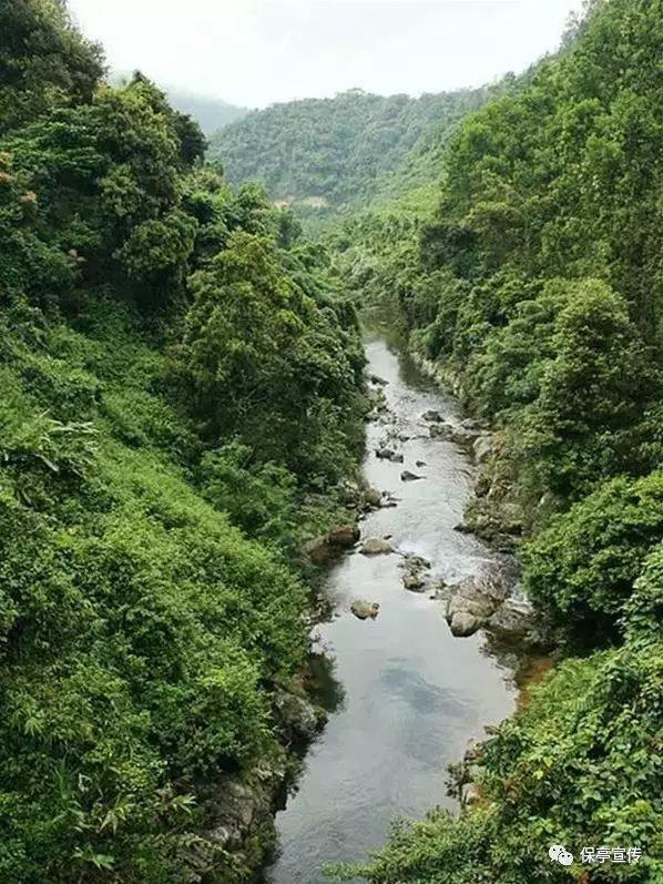 油价明晚或将上调 加满一箱油多花7.5元